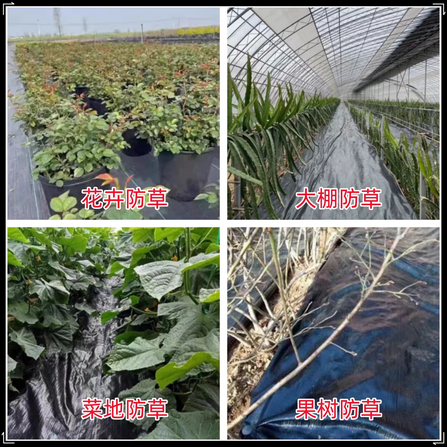唐山市大棚膜防草布 - 厂家
