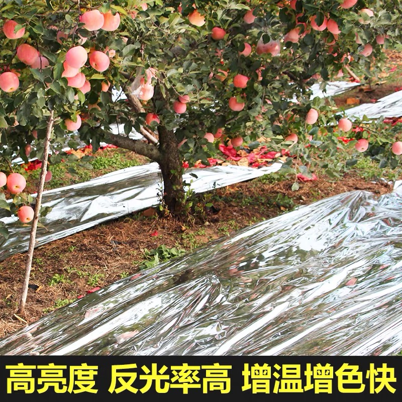 唐山市黑白养殖膜果树反光膜 - 推荐